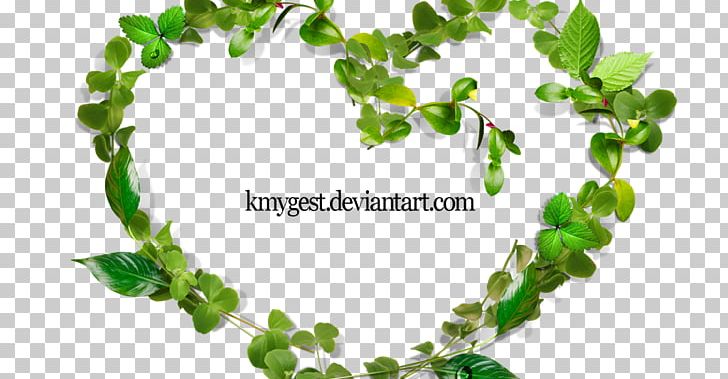 Stock Photography Frames Danyelle Pinnington Photography PNG, Clipart, Branch, Deviantart, Drawing, Green, Heart Free PNG Download