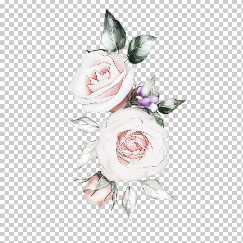 Garden Roses PNG, Clipart, Cut Flowers, Drawing, Flower, Garden Roses, Hybrid Tea Rose Free PNG Download