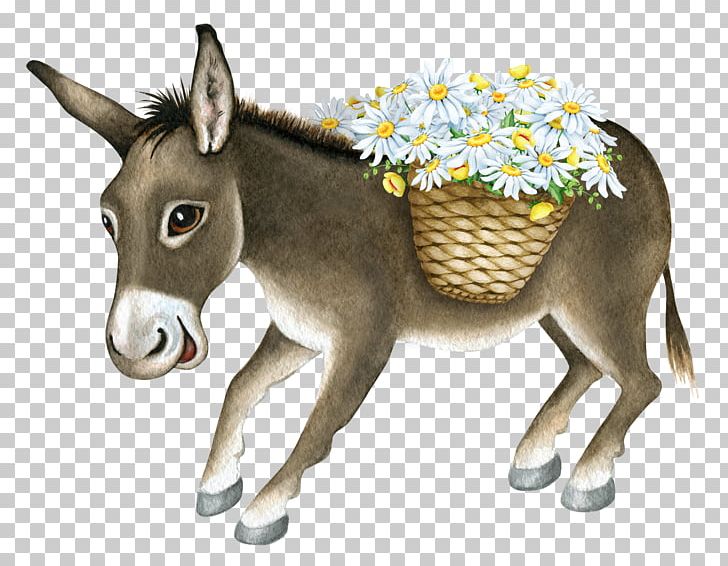 Donkey Christmas Photography Creative Market Illustration PNG, Clipart, Animal, Animals, Cartoon, Cartoon Donkey, Cute Free PNG Download
