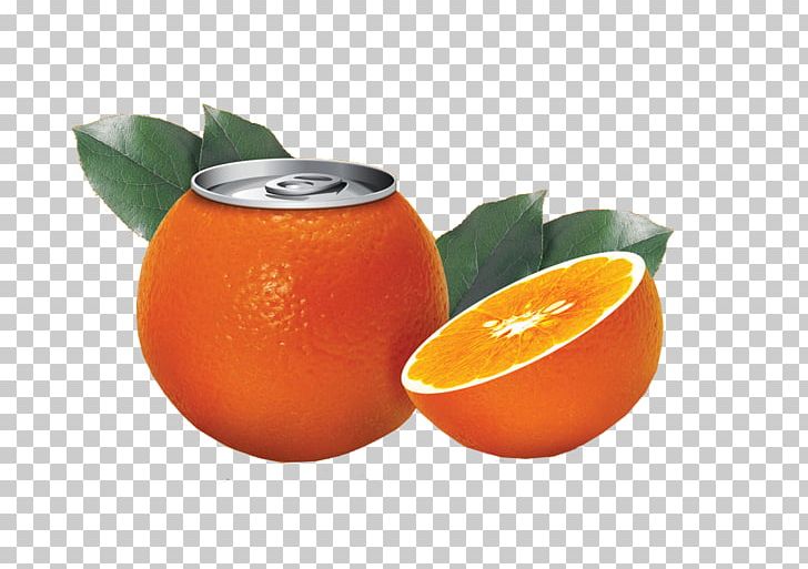 Orange Juice Clementine Creativity PNG, Clipart, Art, Auglis, Citric Acid, Citrus, Clementine Free PNG Download