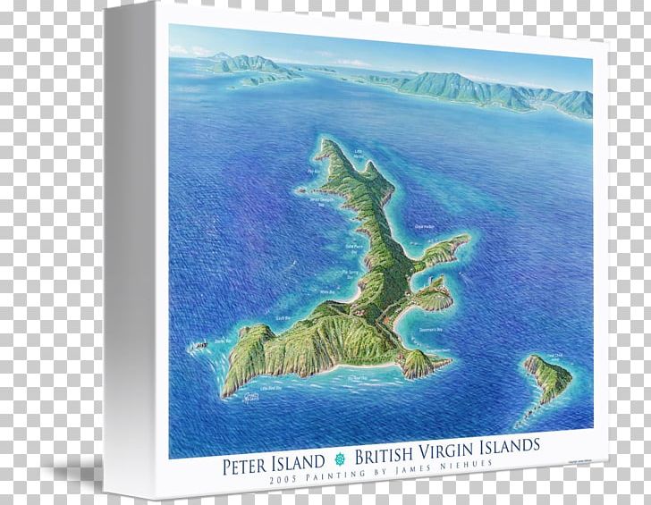 Peter Island Gallery Wrap Marine Mammal Canvas Art PNG, Clipart, Aqua, Art, British Virgin Islands, Canvas, Ecosystem Free PNG Download
