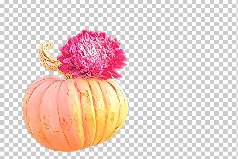 Orange PNG, Clipart, Flower, Fruit, Orange, Petal, Pink Free PNG Download