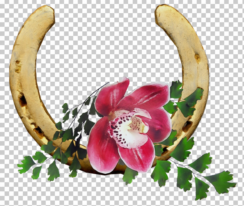 Floral Design PNG, Clipart, Blog, Floral Design, Flower, Horse, Horseshoe Free PNG Download