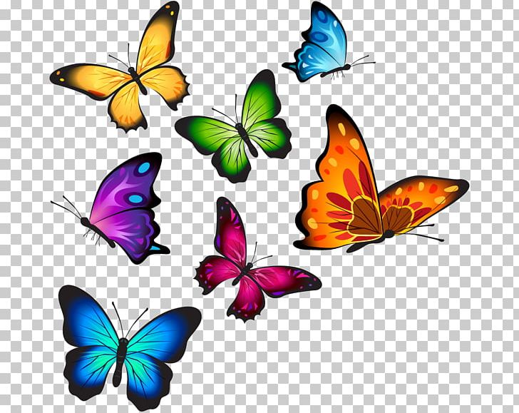 Butterfly T-shirt PNG, Clipart, Artwork, Brush Footed Butterfly, Butterfly, Clip Art, Clothing Free PNG Download