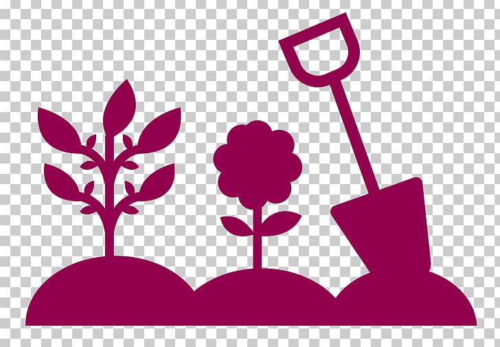 Hedge Garden Plantation Nursery Photinia PNG, Clipart, Bamboo, Brand, Evergreen, Fargesia, Flower Free PNG Download