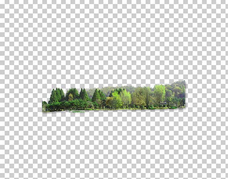 Landscape PNG, Clipart, Adobe Illustrator, Angle, Black Forest, Encapsulated Postscript, Forest Free PNG Download