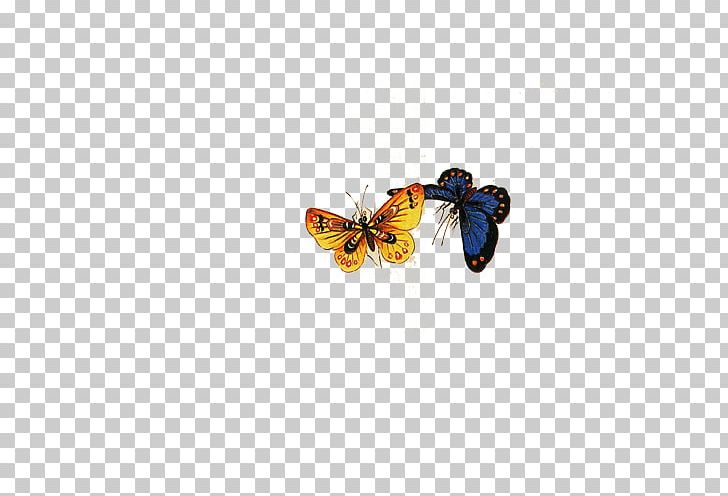 Monarch Butterfly PNG, Clipart, Arthropod, Blue Butterfly, Brush Footed Butterfly, Butterflies, Butterfly Free PNG Download