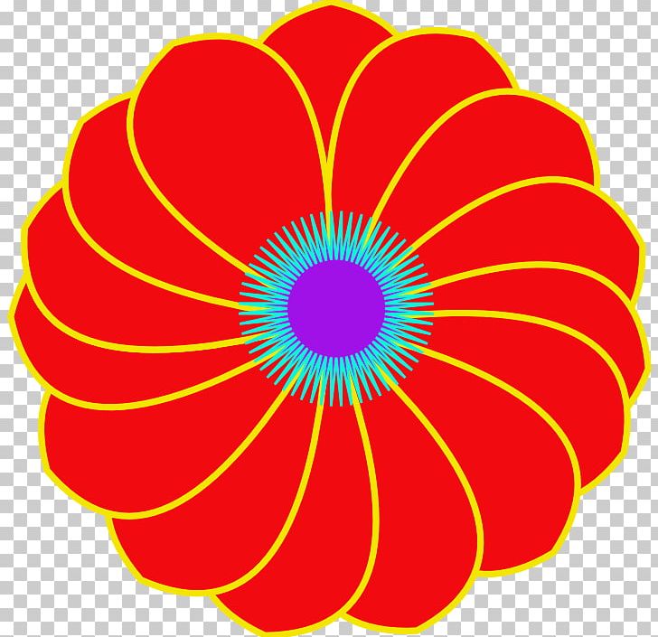 Circle Transvaal Daisy Cut Flowers Point PNG, Clipart, Circle, Cut Flowers, Education Science, Flower, Flowering Plant Free PNG Download