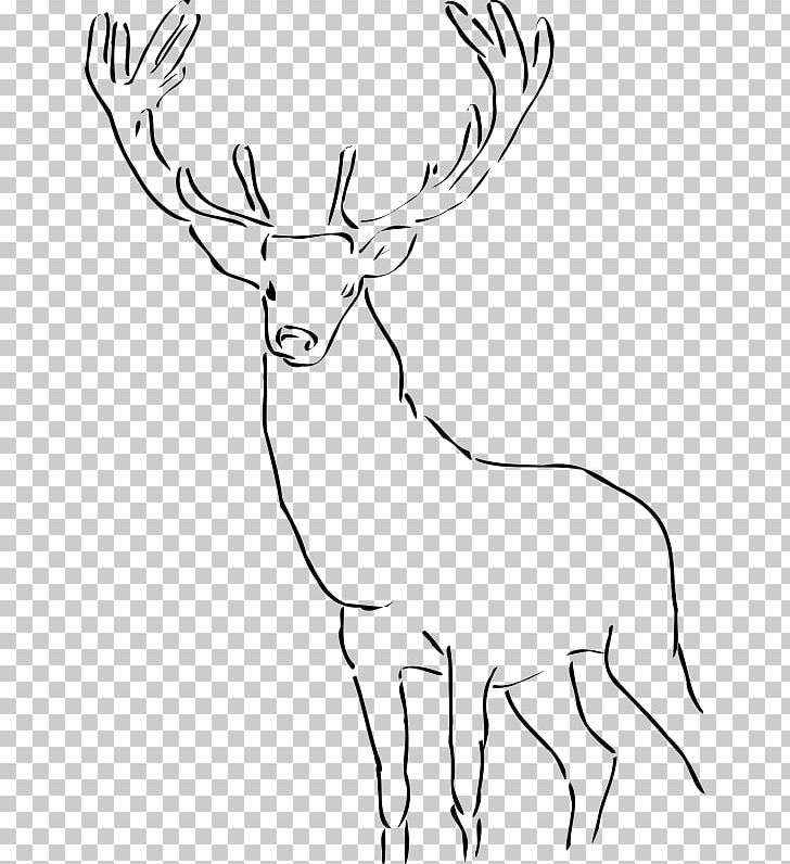 Deer PNG, Clipart, Animals, Antler, Black And White, Cattle Like Mammal, Computer Free PNG Download