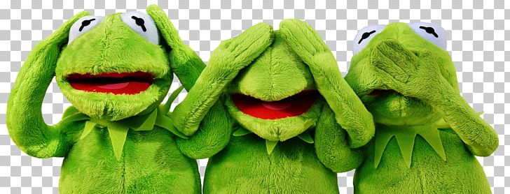 Kermit The Frog Stock.xchng Business Management Stuffed Animals & Cuddly Toys PNG, Clipart, Amphibian, Business, Chief Procurement Officer, Communication, Content Marketing Free PNG Download