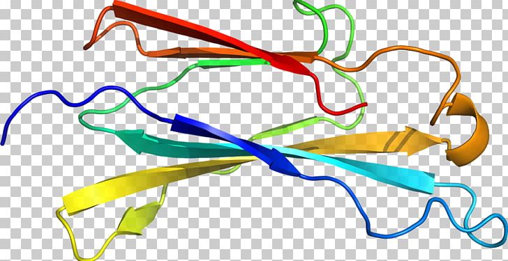 Product Design Organism Line PNG, Clipart, Area, Art, Line, Organism, Subtilis Free PNG Download