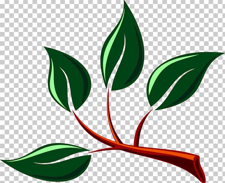 Branch Tree Leaf PNG, Clipart, Artwork, Branch, Computer Icons, Desktop Wallpaper, Dogwood Free PNG Download