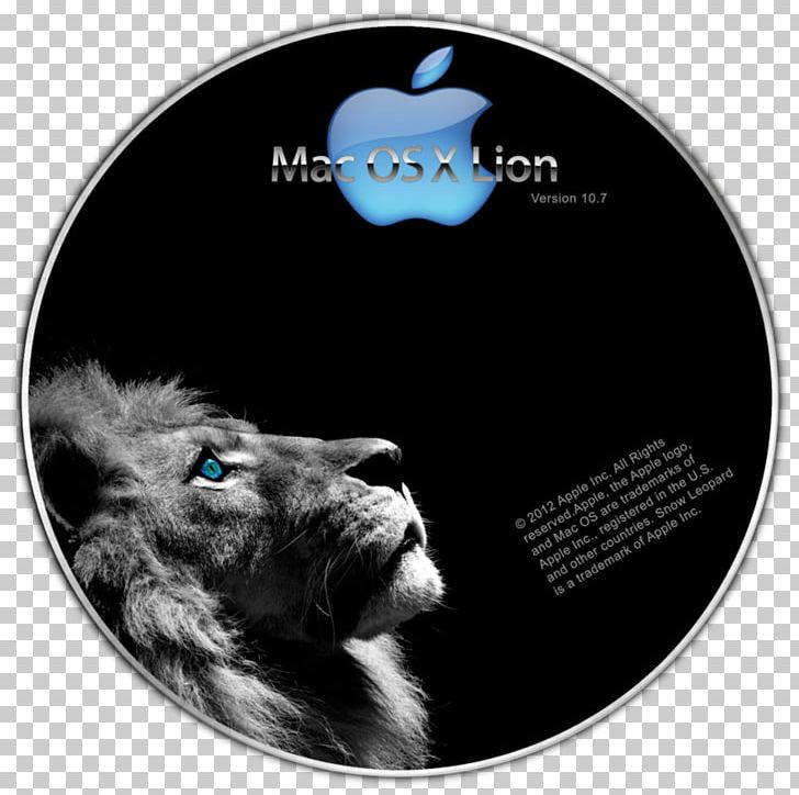 Lion Desktop Facebook PNG, Clipart, Animal, Animals, Black And White, Cat Like Mammal, Computer Free PNG Download