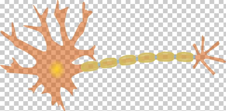 Neuron Brain Dendrite Axon PNG, Clipart, Axon, Brain, Brain Cell, Cell, Computer Wallpaper Free PNG Download