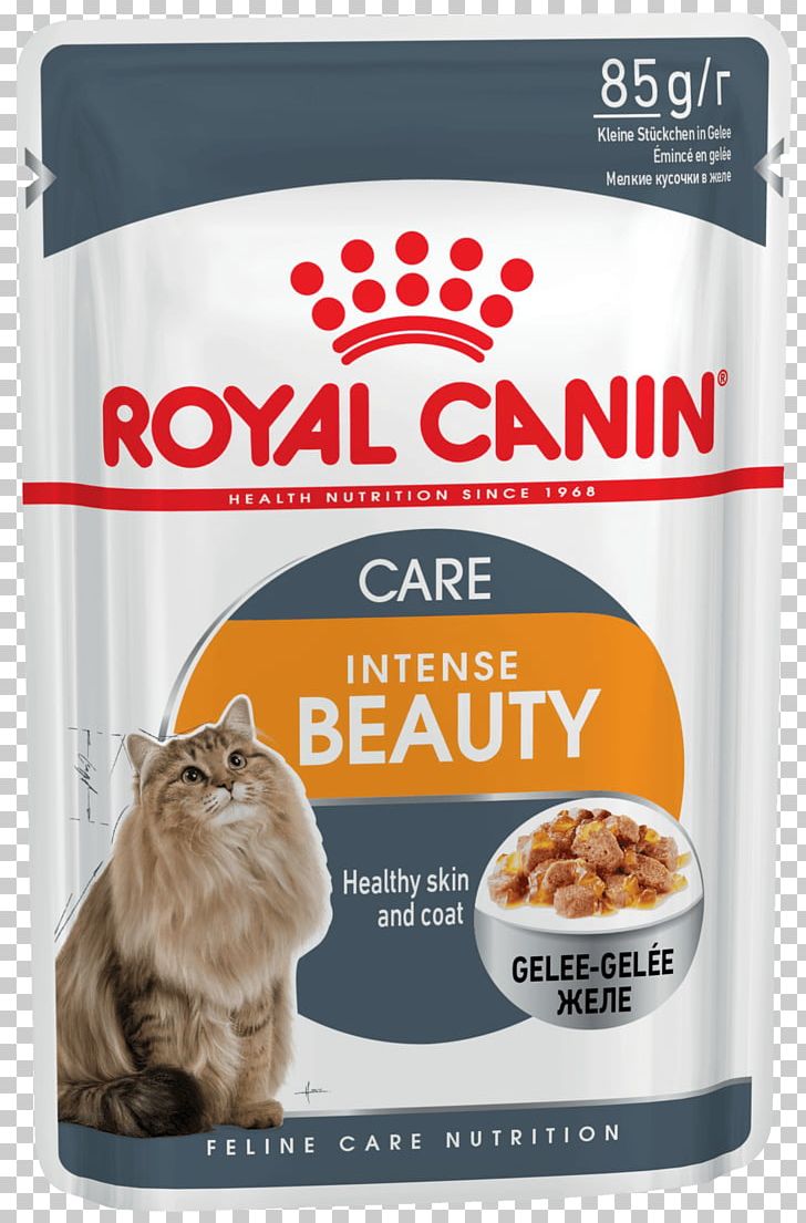 Royal Canin Sensitive Digestion Dry Cat Food Maine Coon Dog PNG, Clipart, Animals, Cat, Cat Food, Cat Health, Dog Free PNG Download