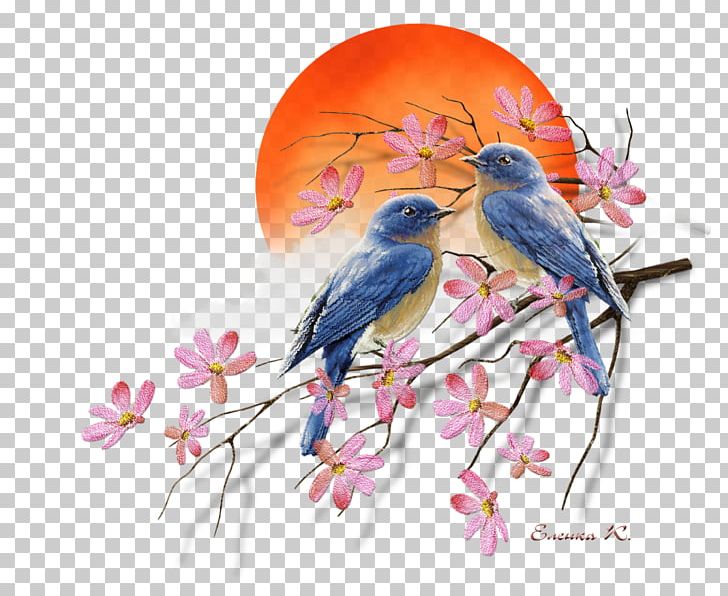 Детский сад №5 Kindergarten Holiday Spring Earth Day PNG, Clipart, April, Beak, Bird, Bluebird, Branch Free PNG Download