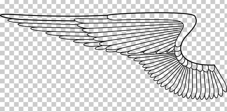 Airplane Wing PNG, Clipart, Airplane, Angle, Black And White, Desktop Wallpaper, Download Free PNG Download