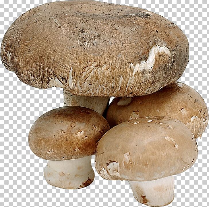 Common Mushroom Shiitake Fungus Edible Mushroom PNG, Clipart, Agaricaceae, Agaricomycetes, Agaricus, Champignon Mushroom, Common Mushroom Free PNG Download