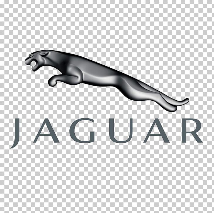 Jaguar Cars Jaguar Land Rover Jaguar F-Type PNG, Clipart, Angle, Animals, Black And White, Brand, Car Free PNG Download