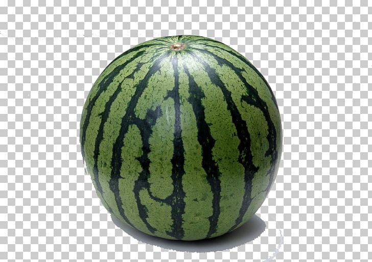Watermelon Fruit Seed Vegetable Cucumber PNG, Clipart, Apple, Citrullus, Computer, Cucumber Gourd And Melon Family, Food Free PNG Download