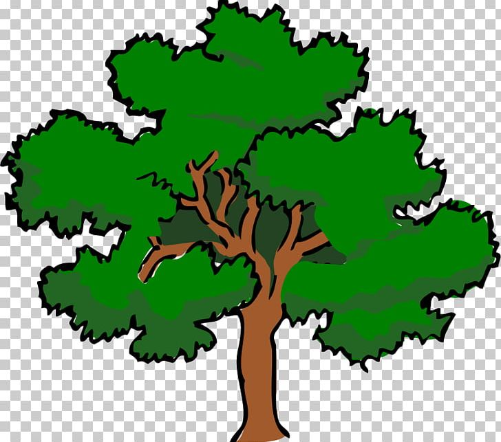 Southern Live Oak Tree PNG, Clipart, Artwork, Cartoon, Drawing, Flora, Flowering Plant Free PNG Download