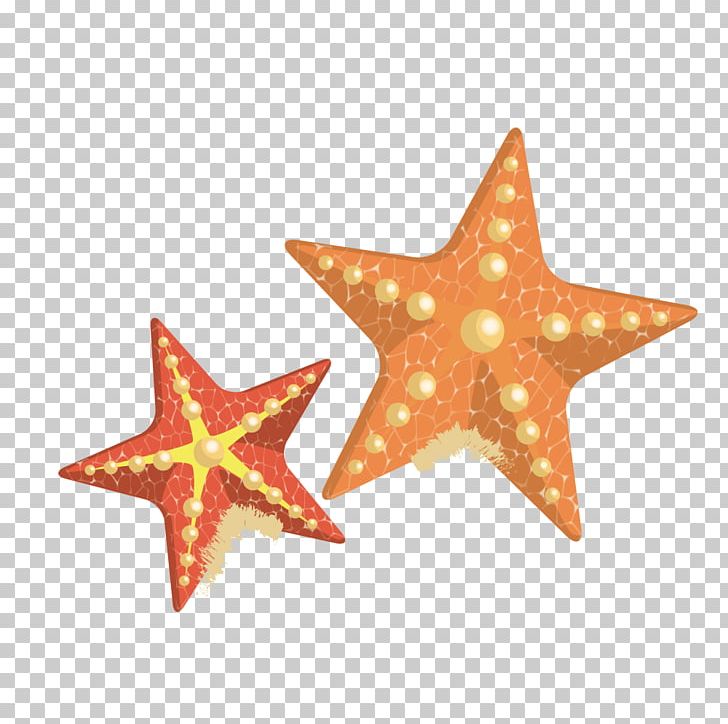 Starfish PNG, Clipart, Animals, Beach, Download, Happy Birthday Vector Images, Invertebrate Free PNG Download
