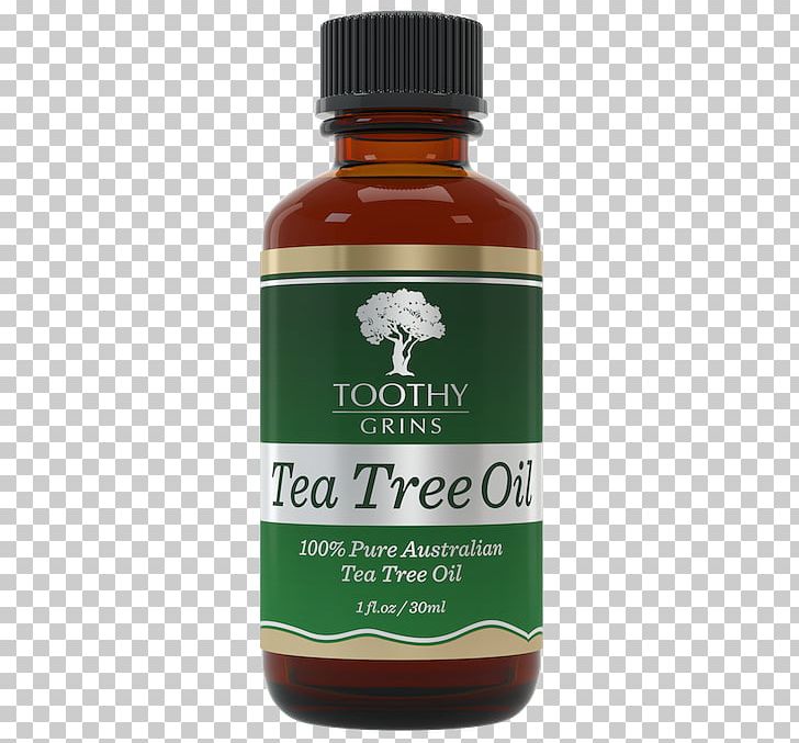 Tea Tree Oil Narrow-leaved Paperbark Tea Plant PNG, Clipart, Aromatherapy, Australia, Essential Oil, Food, Liquid Free PNG Download