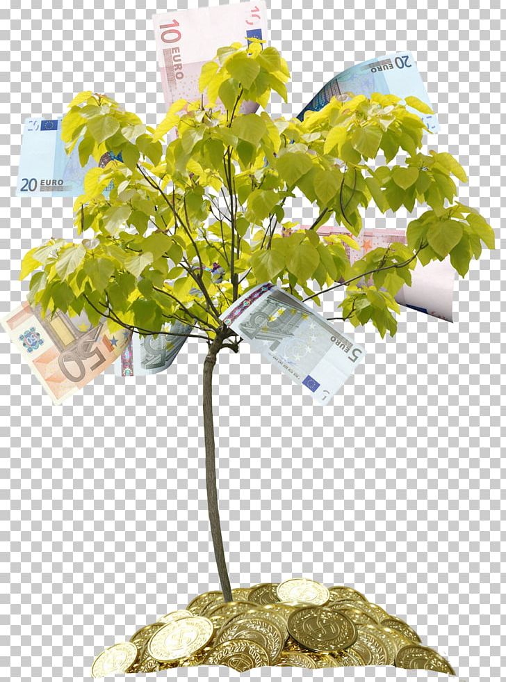 Tree Money Drawing PNG, Clipart, Bank, Banknote, Branch, Can Stock Photo, Coin Free PNG Download
