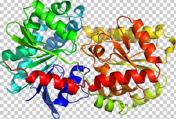 Tryptophan Synthase Structural Biology Toll-like Receptor Structure PNG, Clipart, Biology, Crystallography, Food, Innate Immune System, Nih Free PNG Download