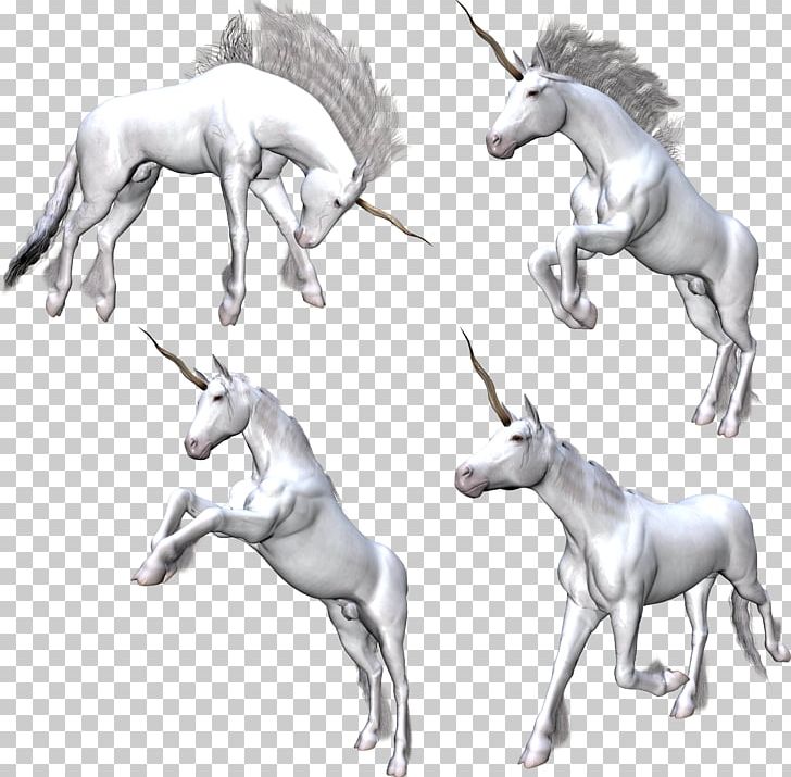 Unicorn Fantasy Pegasus Rusalka PNG, Clipart, Art, Fictional Character, Horse, Horse Tack, Mane Free PNG Download