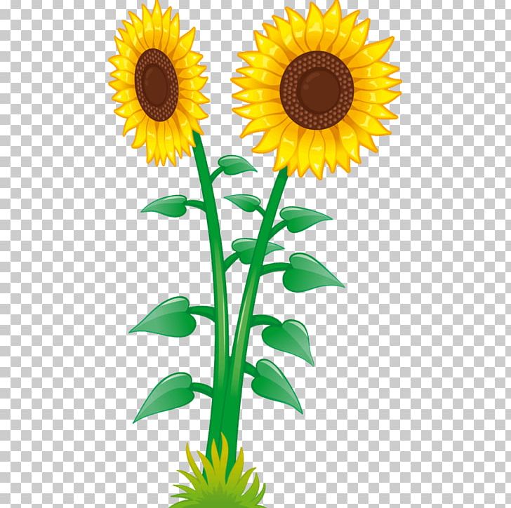 Child Common Sunflower Sticker Adhesive PNG, Clipart, Adhesive, Asterales, Bedroom, Child, Common Sunflower Free PNG Download