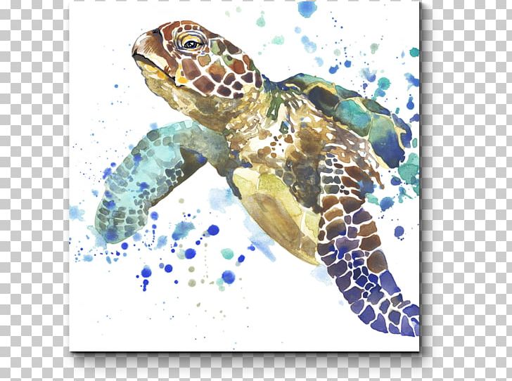 Sea Turtle Stock Photography Watercolor Painting PNG, Clipart, Animals, Art, Drawing, Emydidae, Fauna Free PNG Download