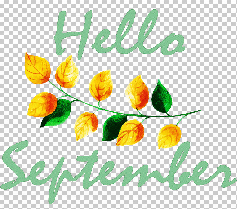 Hello September PNG, Clipart, Cut Flowers, Floral Design, Flower, Hello September, Petal Free PNG Download