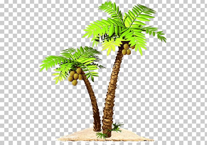 Asian Palmyra Palm Mysteryville Paradise Beach App Store Nevosoft PNG, Clipart, Apple, App Store, Arecaceae, Arecales, Asian Palmyra Palm Free PNG Download