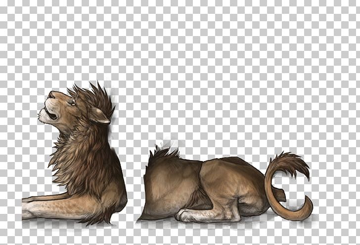 Lion Big Cat Tiger Boerboel PNG, Clipart, Animals, Big Cat, Big Cats, Boerboel, Carnivora Free PNG Download