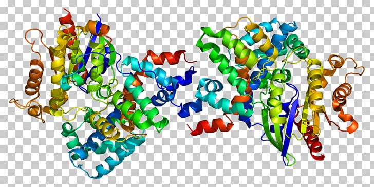 Thymidine Kinase 1 Protein GNAT1 Rod Cell PNG, Clipart, Art, Body Jewelry, Cell, Cone Cell, Enzyme Free PNG Download