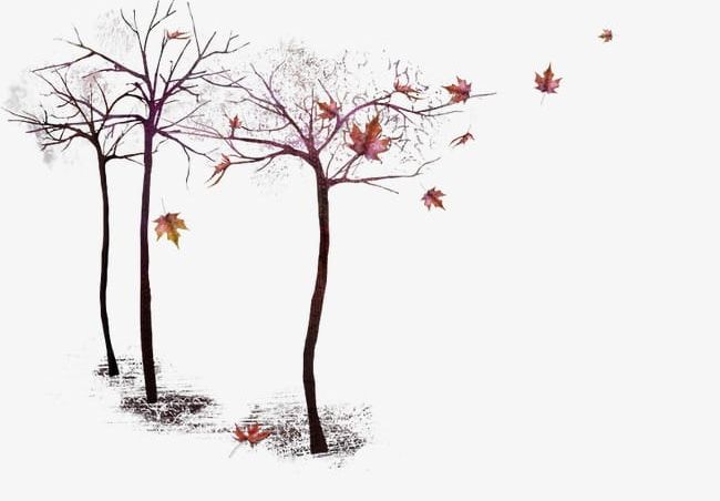 Trees PNG, Clipart, Autumn, Fall, Leaf, Maple, Maple Leaf Free PNG Download