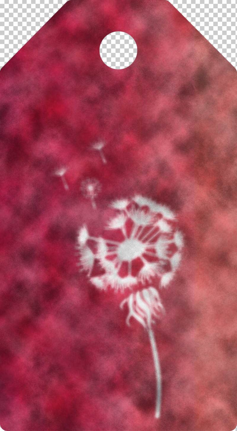 Dandelion Tag PNG, Clipart, Closeup, Dandelion Tag, Velvet Free PNG Download