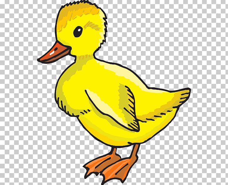 Duck American Pekin PNG, Clipart, American Pekin, Artwork, Beak, Bird, Blog Free PNG Download