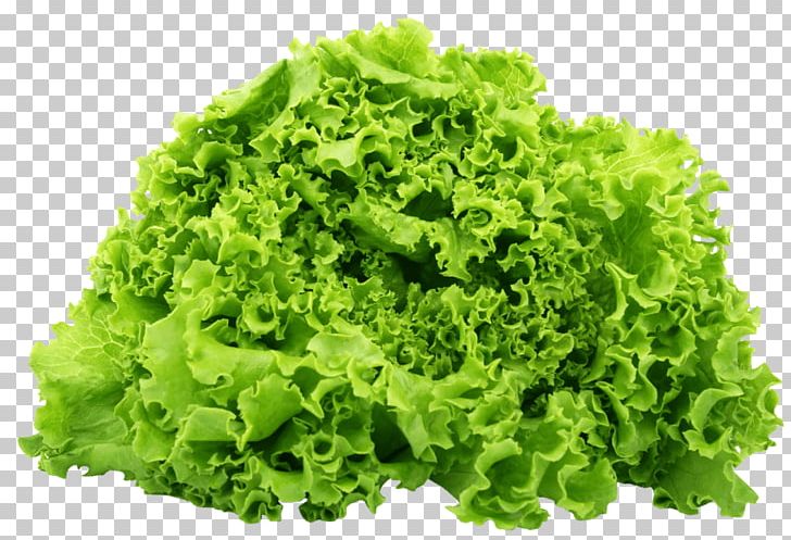 Lettuce Sandwich BLT Romaine Lettuce Salad Butterhead Lettuce PNG, Clipart, Blt, Butterhead Lettuce, Celtuce, Endive, Food Free PNG Download