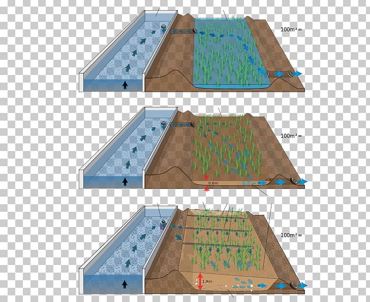 Sewage Treatment Reed Bed Wastewater Pond Biologinen Vedenpuhdistus PNG, Clipart, Angle, Biologinen Vedenpuhdistus, Biology, Constructed Wetland, Diagram Free PNG Download