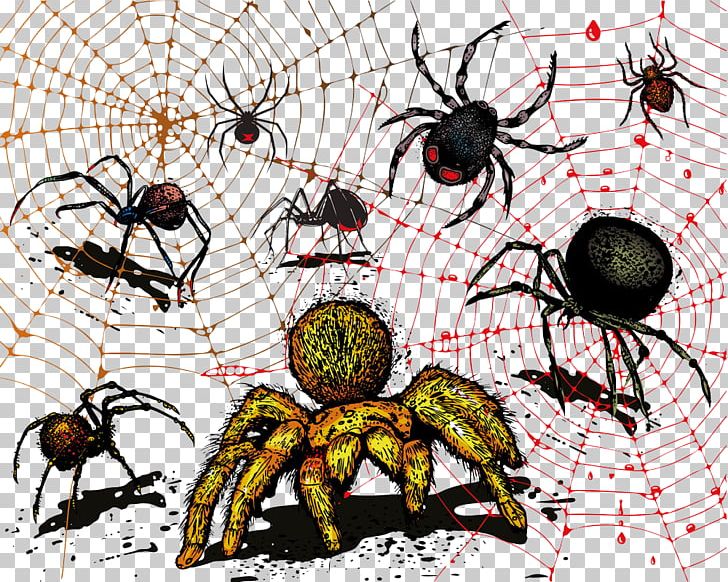 Spider Web Illustration PNG, Clipart, Animal, Arachnid, Art, Arthropod, Cartoon Free PNG Download