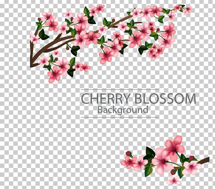 Template Software Microsoft Word Funeral Microsoft Publisher PNG, Clipart, Branch, Brochure, Cherry, Chinese Style, Condolences Free PNG Download