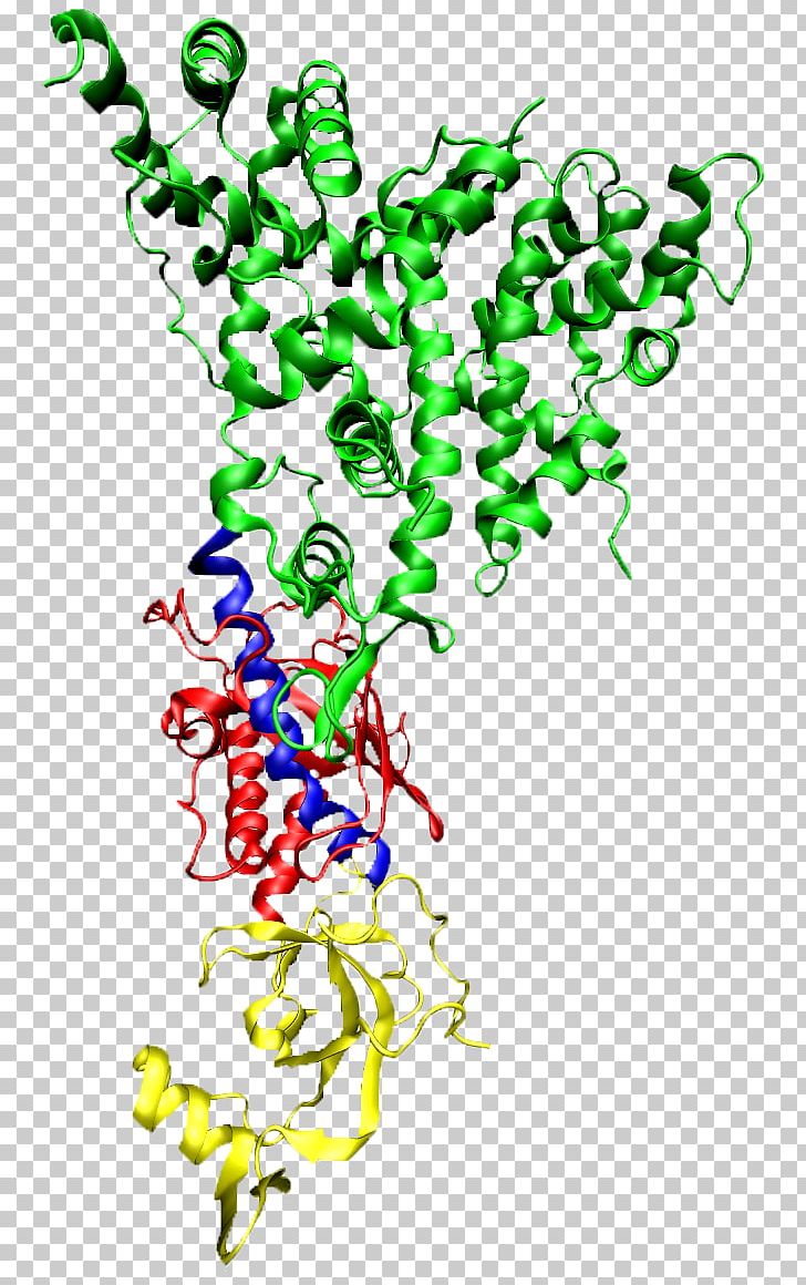Dicer RNA Interference Protein Ribonuclease RNA-induced Silencing Complex PNG, Clipart, Area, Art, Artwork, Biology, Branch Free PNG Download