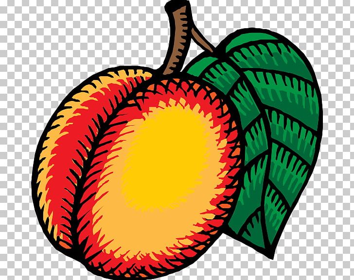 Nectarine PNG, Clipart, Circle, Computer Icons, Download, Dried Fruit, Food Free PNG Download