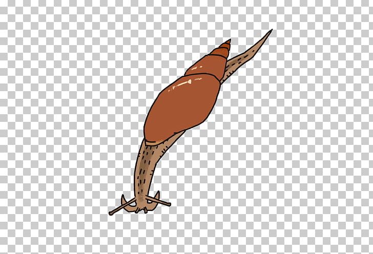 Beak Fauna Galliformes Wildlife Animated Cartoon PNG, Clipart, Animated Cartoon, Beak, Bird, Fauna, Galliformes Free PNG Download