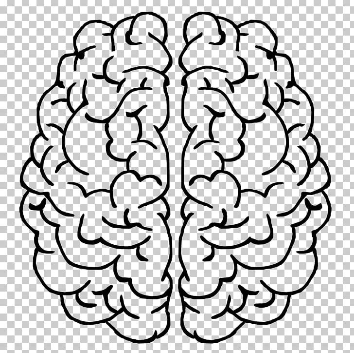 Brain Consumer Neuroscience Neuromarketing Purkinje Cell PNG, Clipart, Art And Emotion, Black And White, Brain, Cerebral Cortex, Floral Design Free PNG Download