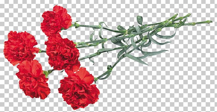 Carnation Flower Bouquet Garden Roses Cut Flowers PNG, Clipart, Carnation, Floral Design, Floristry, Flower, Flower Arranging Free PNG Download