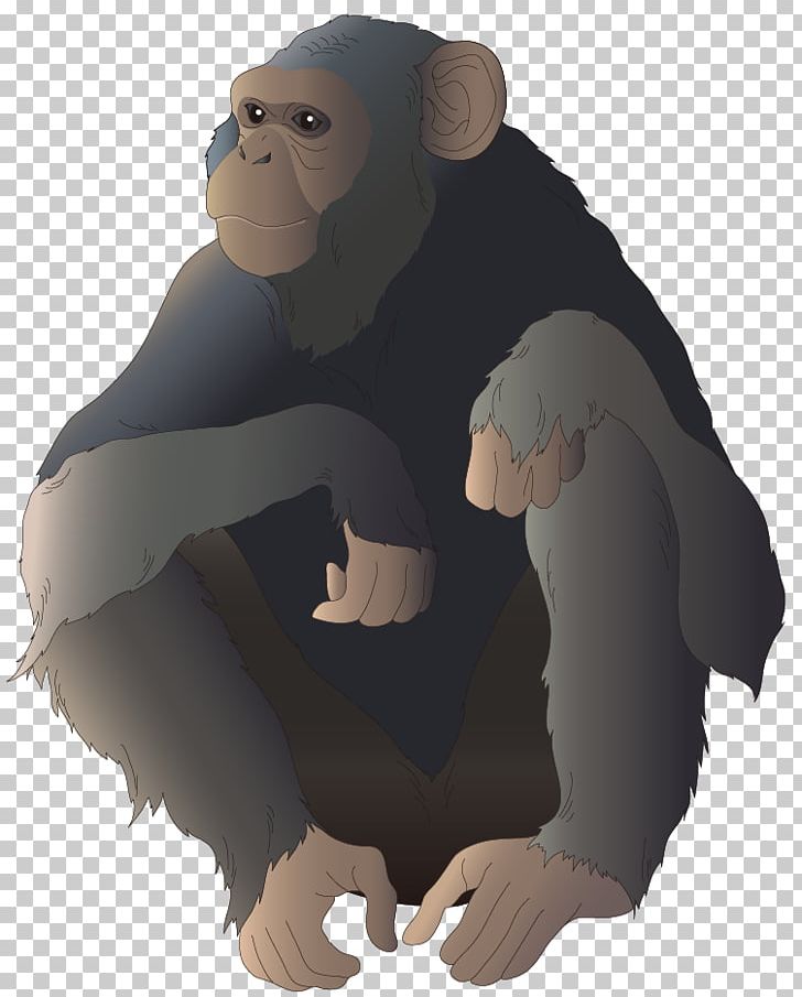 Common Chimpanzee Gorilla Monkey Ape Illustration PNG, Clipart, Animal, Animals, Ape, Balloon Cartoon, Barbarism Free PNG Download