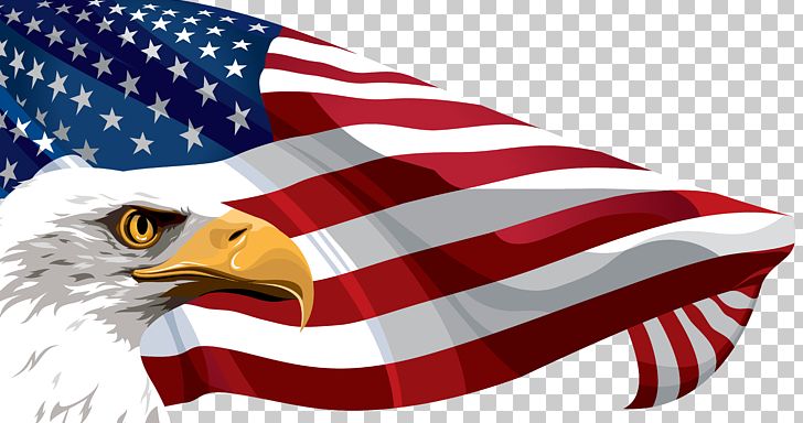 Flag Of The United States PNG, Clipart, American Flag, American Flag Clip Art, Automotive Design, Bald Eagle, Beak Free PNG Download